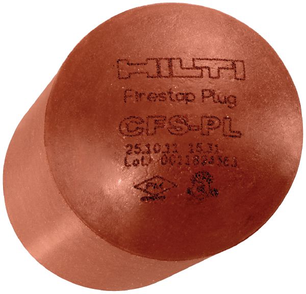 CFS-PL Firestop plug